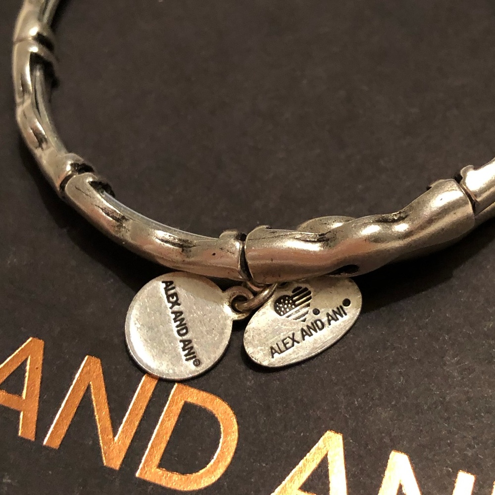 Alex and Ani Rocker Beaded Bangle - Picture 5 of 7